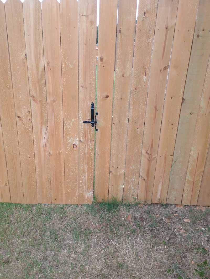 Wooden fence with gate, metal latch, and grass.