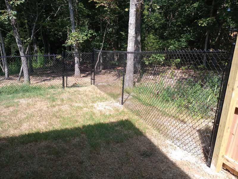 Black chain-link fence bordering a grassy yard and leading into a wooded area with trees.