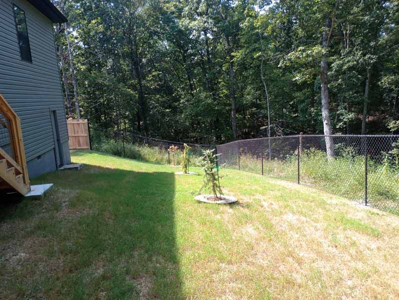 Lawn next to a house with a chain-link fence separating it from a wooded area.  Some grass is brown.