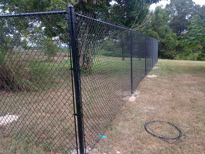 Black chain-link fence in a grassy yard, trees in the background.