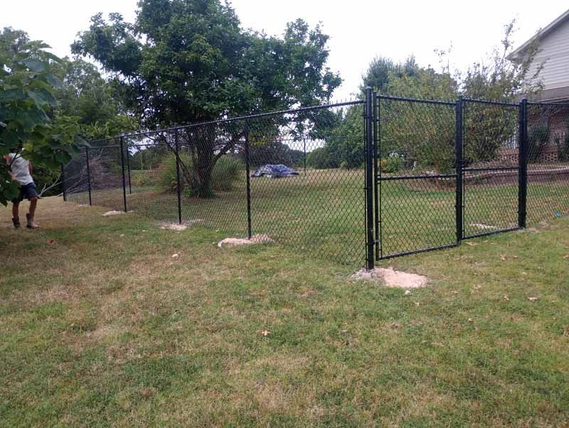 Black chain-link fence with a gate in a grassy yard, a person stands nearby a tree.