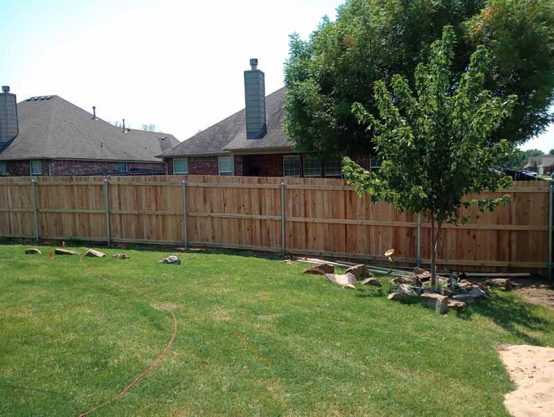 Wooden fence encloses a green lawn with a tree in a residential backyard.