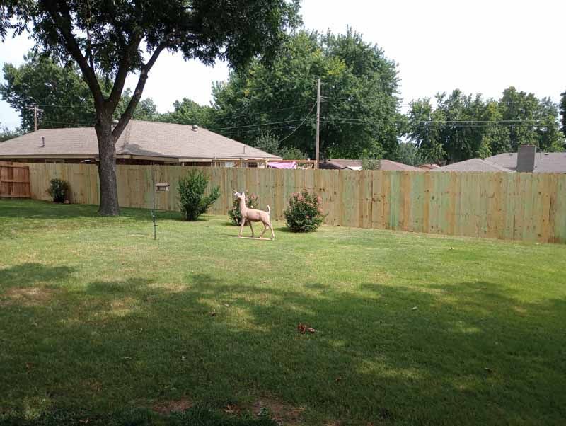 Backyard with green grass, wooden fence, statue, and trees under a sunny sky.