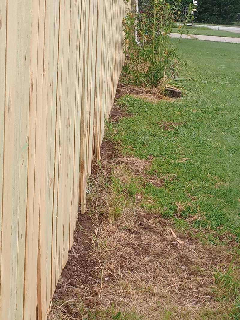 Wooden fence bordering a grassy yard with bare earth at the fence's base.