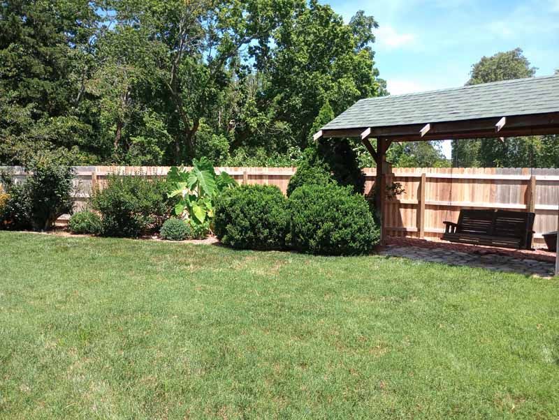 A green, grassy backyard with a wooden fence, plants, and a covered swing.