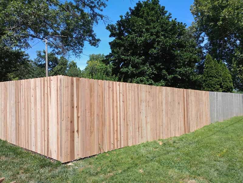 Wooden privacy fence in a grassy yard, under a bright blue sky.