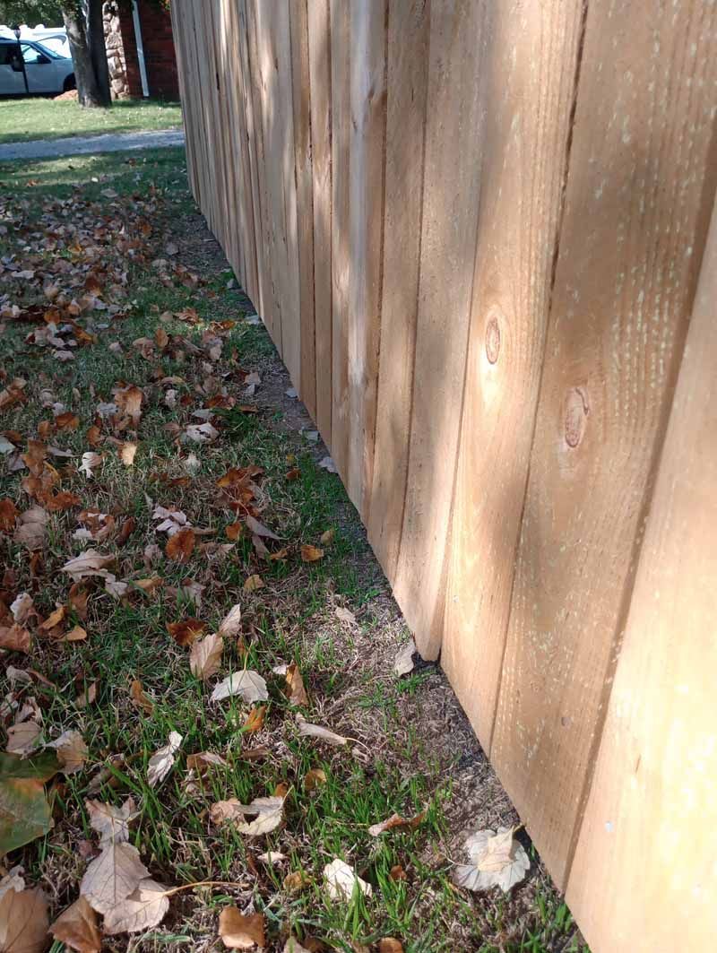 Wooden fence next to green grass and fallen leaves.