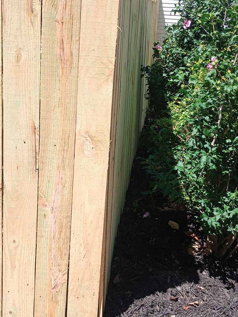 Wooden fence next to a bed of dark mulch and green plants.