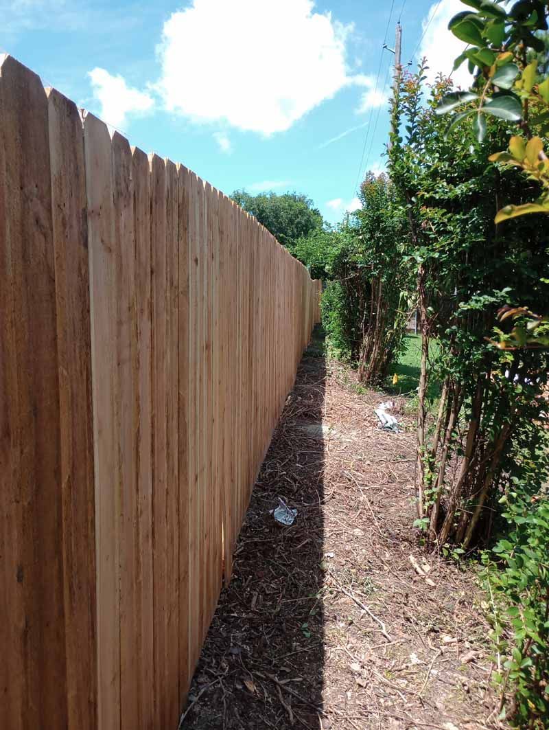 Wooden fence next to a dirt path and shrubs, under a blue sky with clouds.