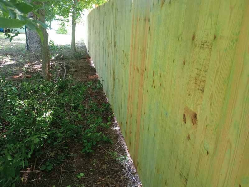 Wooden fence next to a dirt path and foliage; green-yellowish tones.
