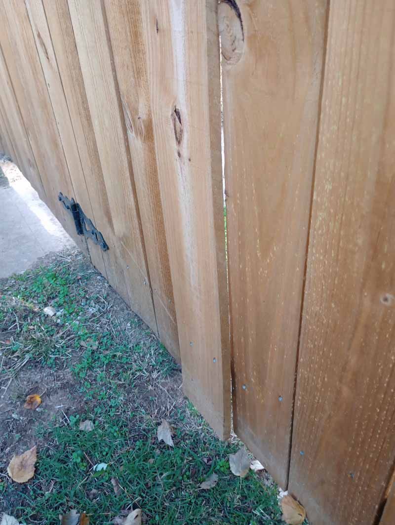 Wooden fence with a narrow gap, bordering grass and concrete.