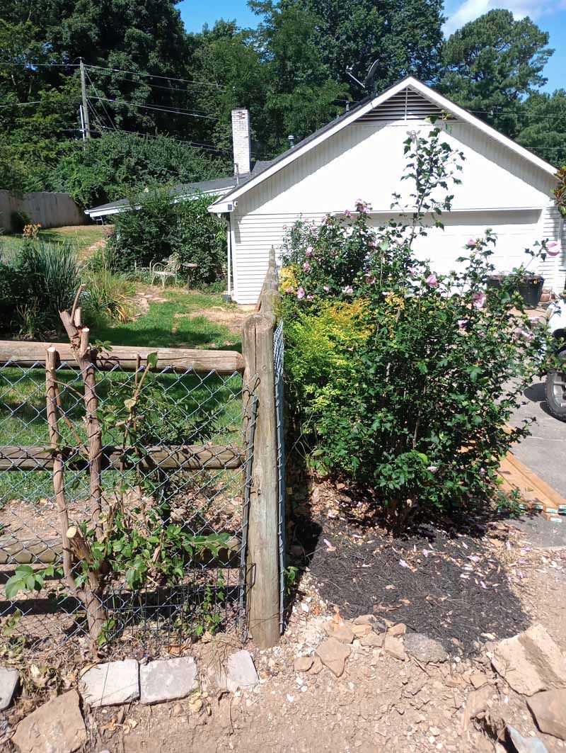 Wooden fence with climbing plants in front of a white garage and lush green bushes on a sunny day.