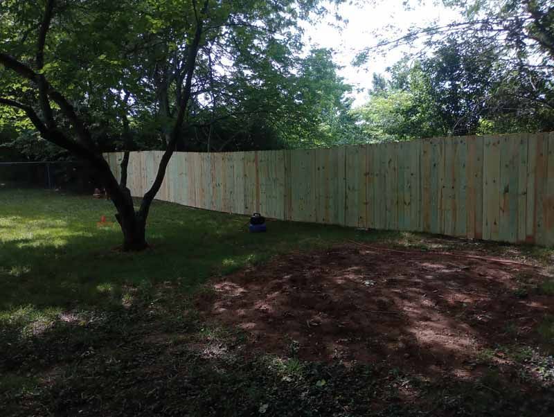 Wooden fence in a backyard, with a tree in the foreground and sunlight.