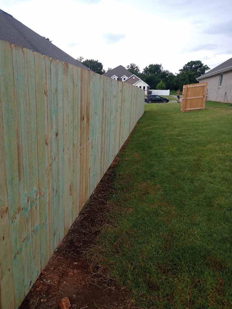 Wooden fence along a grassy backyard. The fence is made of light green wood.