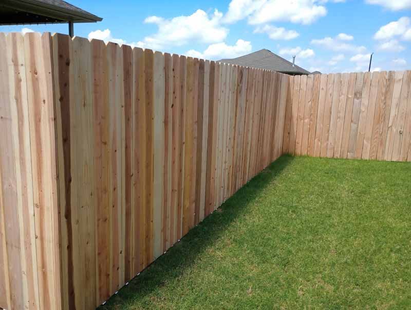 Wooden privacy fence encloses a green lawn on a sunny day.