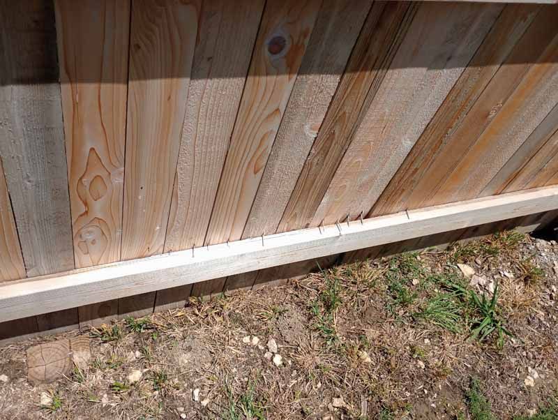 Wooden fence with light-colored planks, a horizontal base, and ground with grass and small rocks.