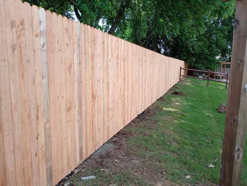 Wooden privacy fence in a grassy yard, under a tree.