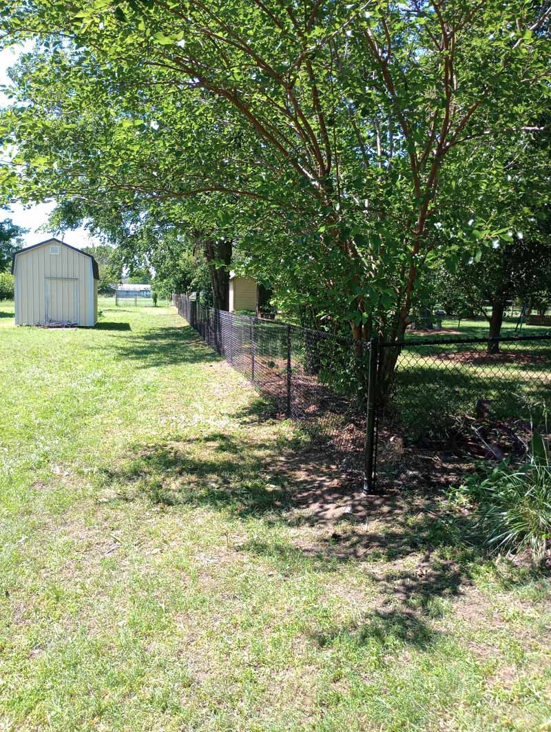A grassy yard with a black fence, trees, and a white shed in the distance.