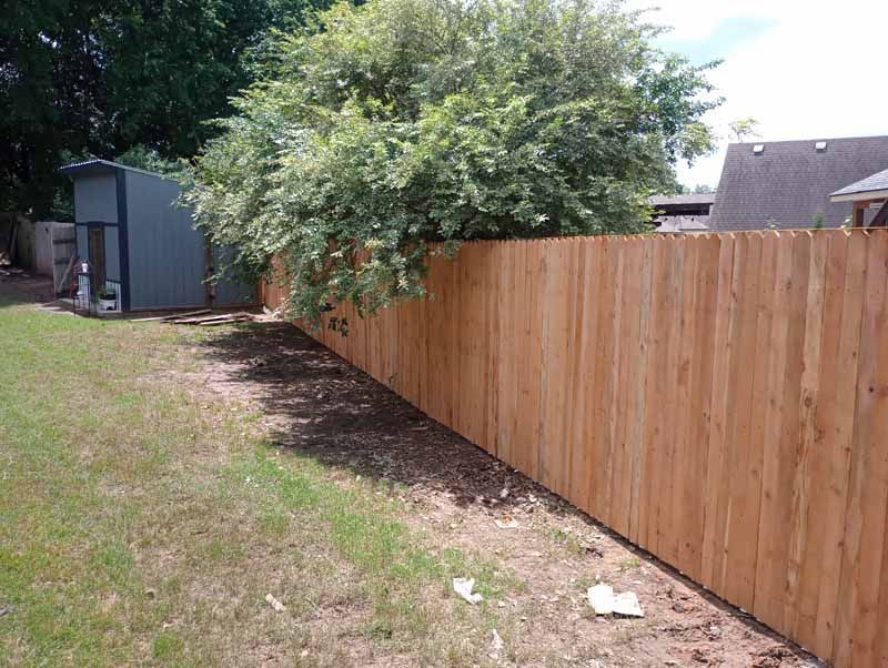 Wooden fence along a grassy yard with a shed and leafy tree.