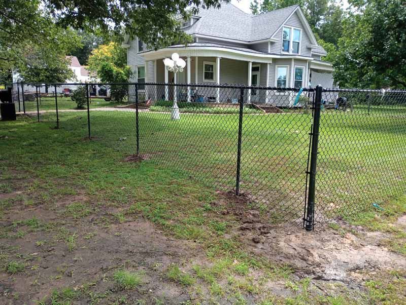 Black chain-link fence surrounds a grassy yard, with a house in the background.