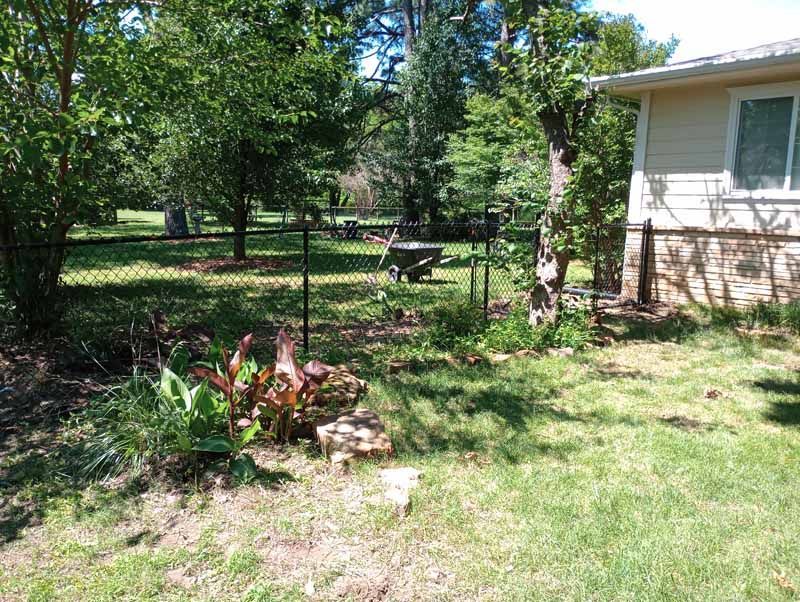 Yard with green grass, trees, and a house. A black chain-link fence separates the yard.