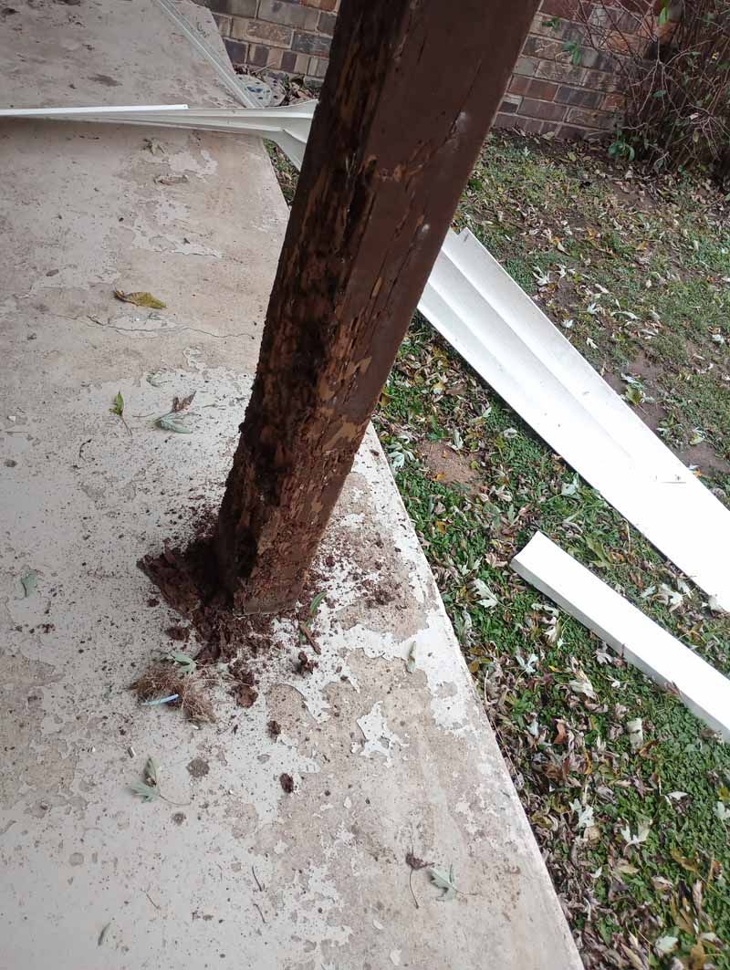 Wooden porch post with decay and debris on concrete surface.