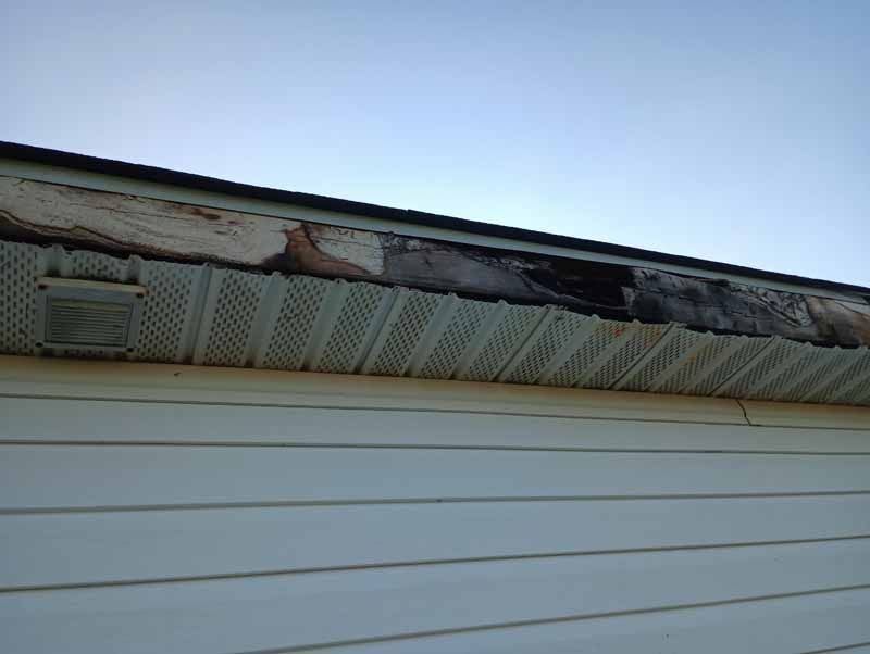 Damaged roof soffit with peeling paint and discoloration above white vinyl siding.