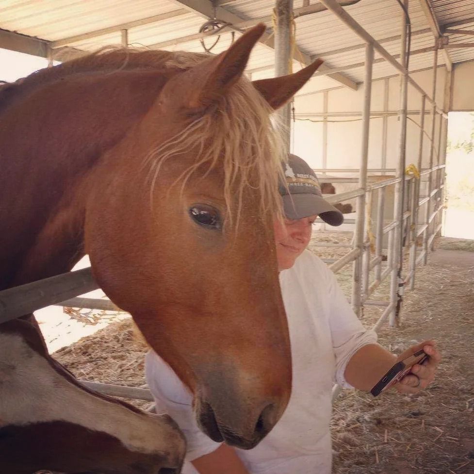 Manu Fortis Blue Nile