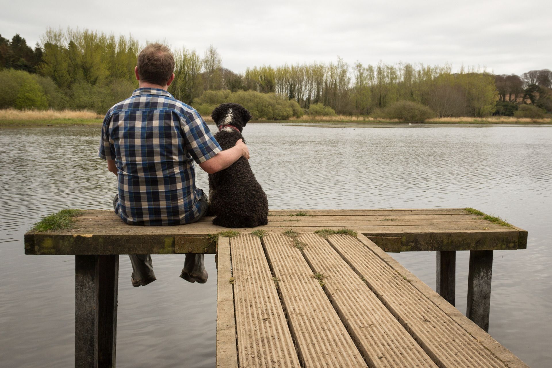Man and dog sitting on wooden dock, overlooking lake. Cloudy sky, trees in background.