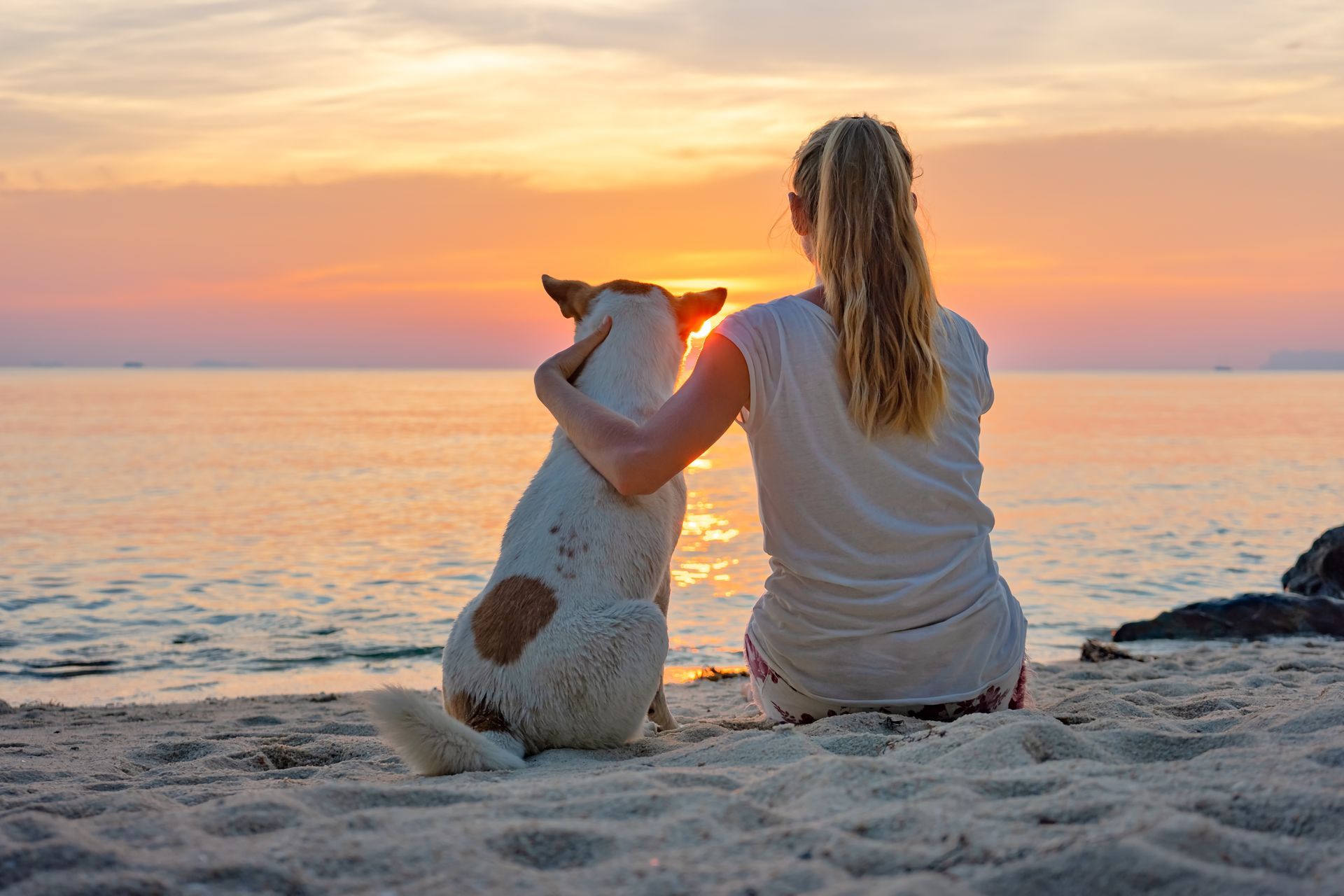 Woman with dog on beach, watching sunset; dog has paw on woman’s arm.