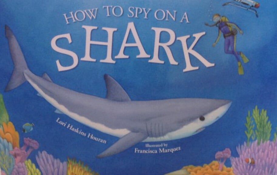How To Spy On A Shark by Lori Haskins Houran