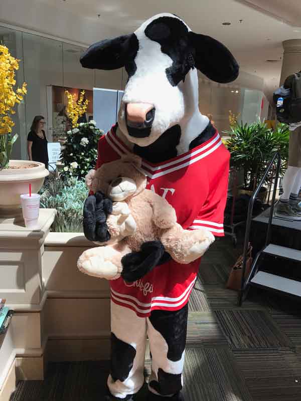 Even The Chic-Fil-A cow loves a Teddy Bear