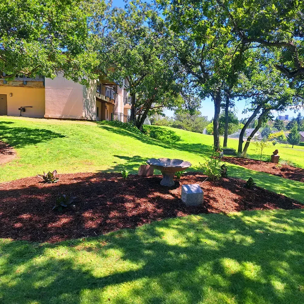 Lush green lawn with trees, a bird bath, and apartment building in the background. Sunny, outdoor setting.