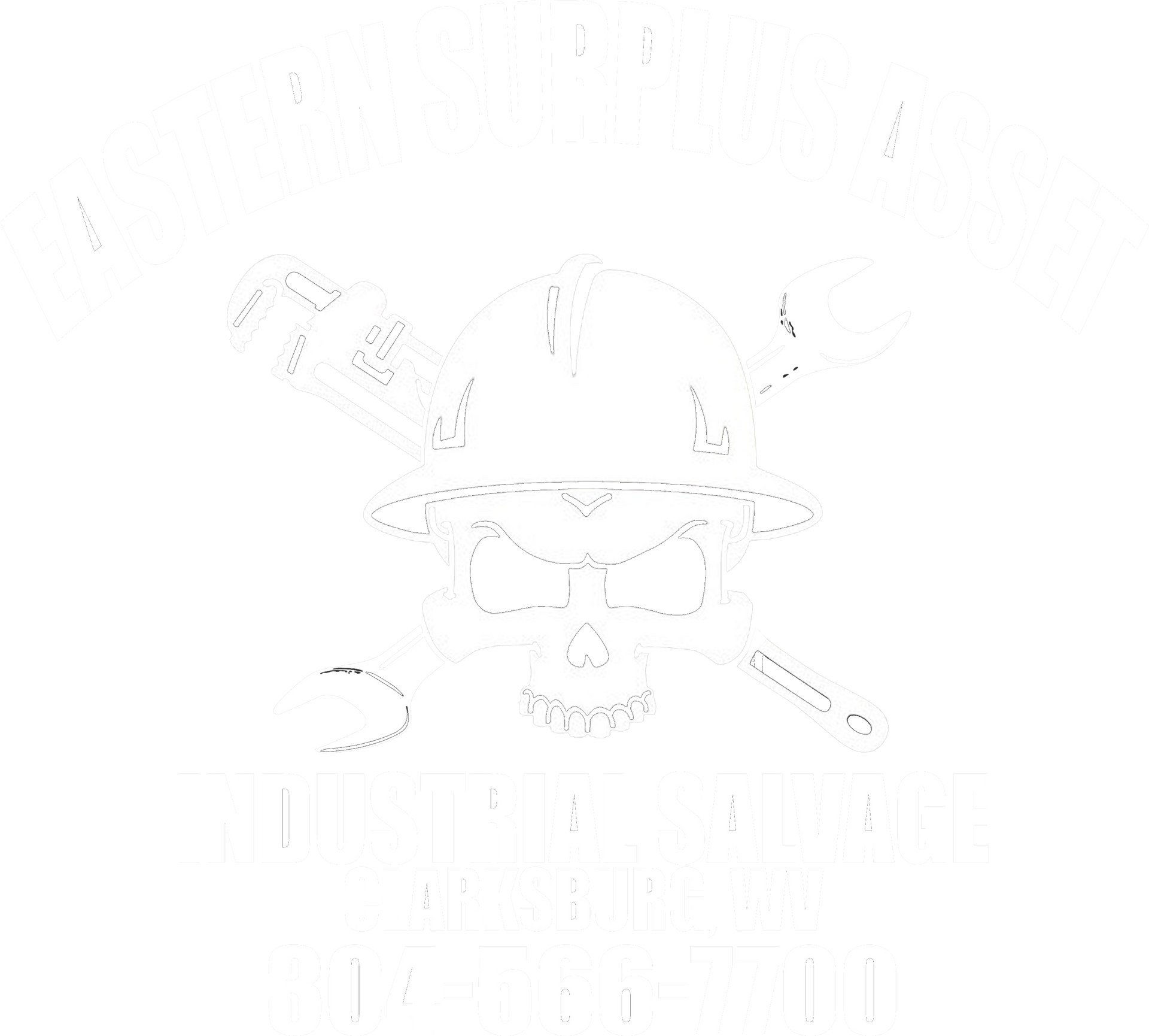 Eastern Surplus Asset Inc. logo