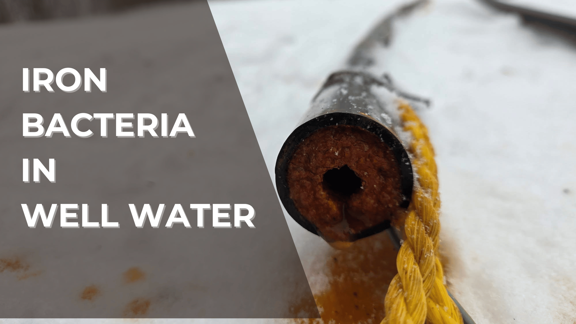 iron bacteria in well water ontario