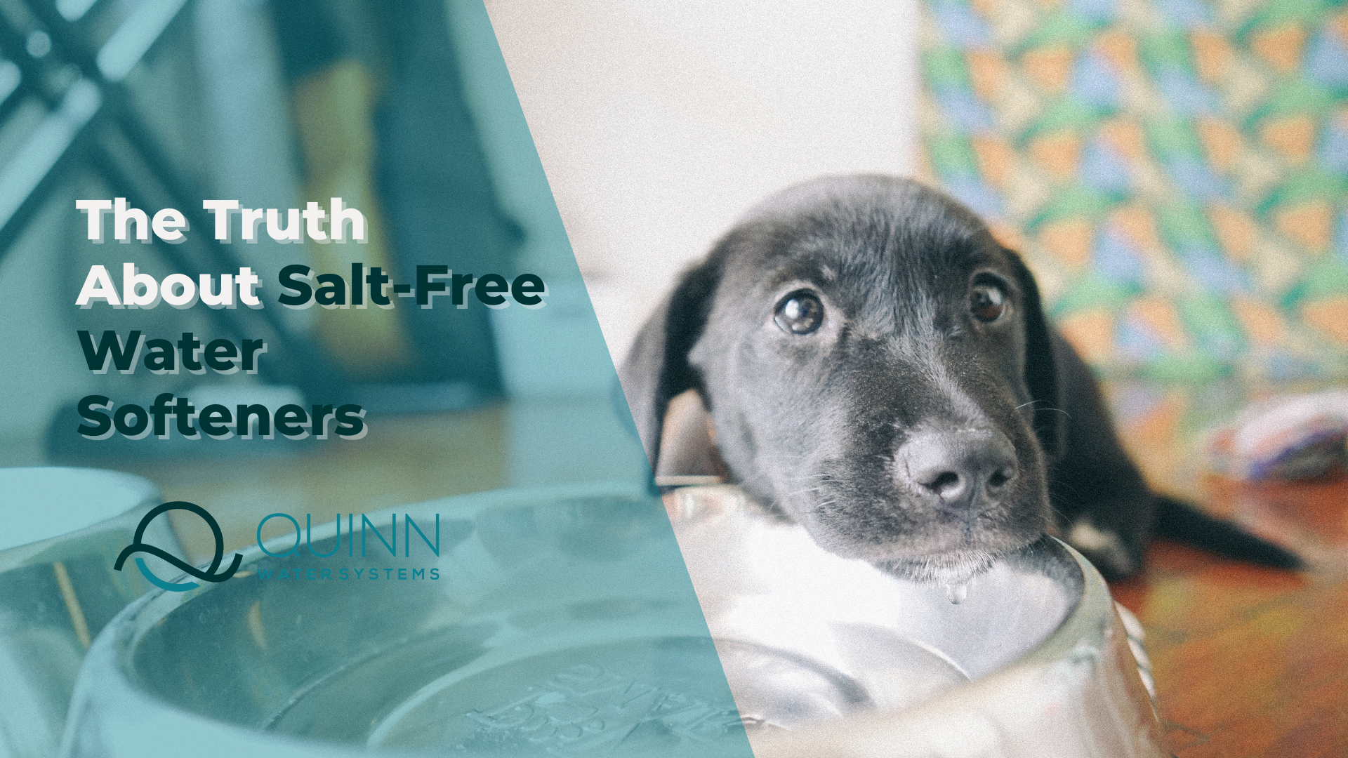 the truth about salt free water softener