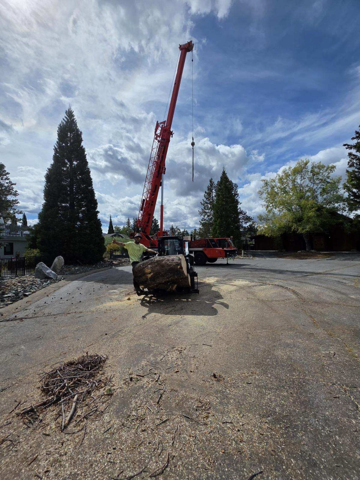 A large red crane lifts a tree trunk on a paved surface, with tall trees and a cloudy sky in the background.
