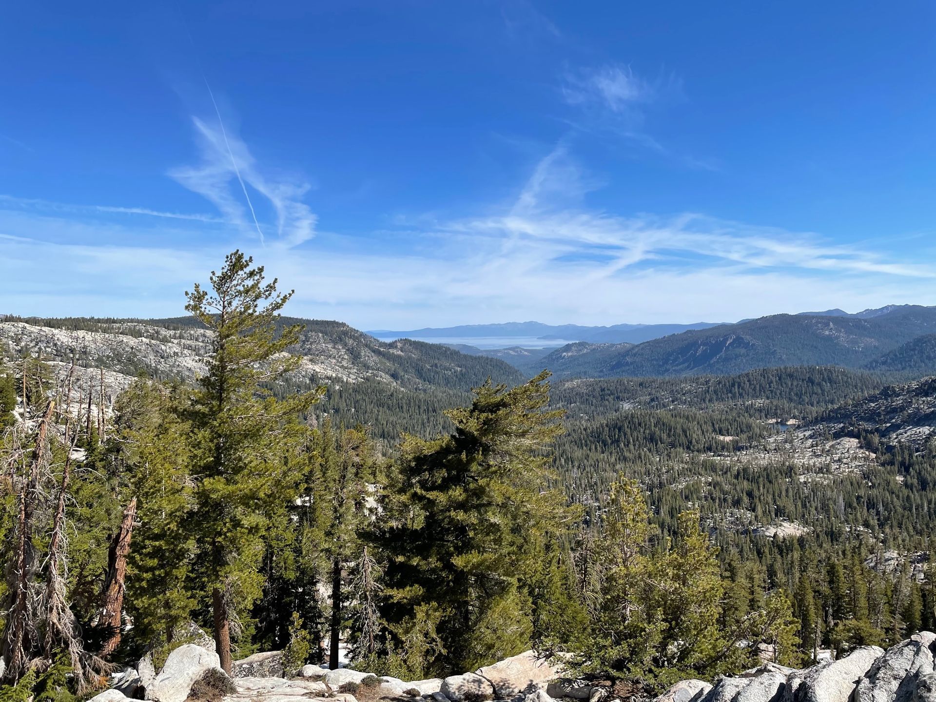 Vast mountain landscape with evergreen trees and a bright blue sky.