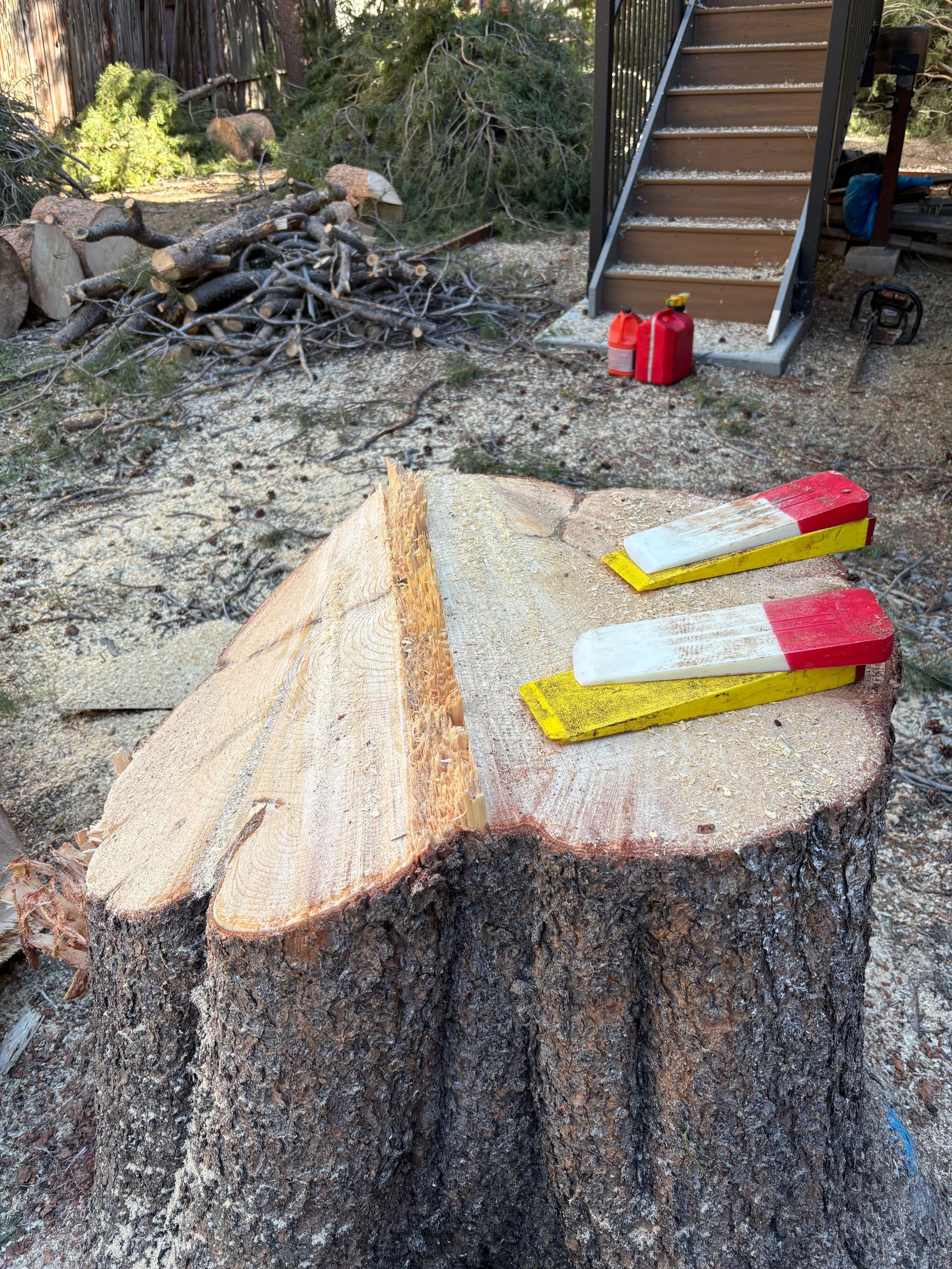 Tree stump with two wedges on top; logs and stairs in background.