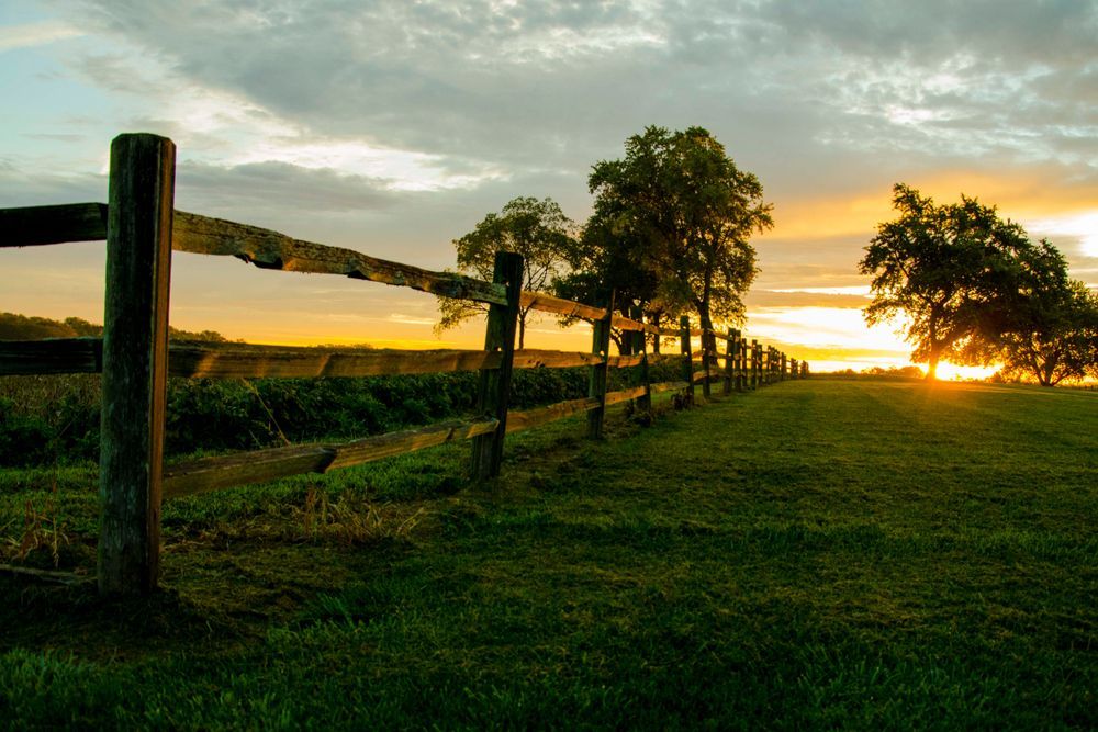 Sunset over a rural landscape; weathered wooden fence, green grass, and trees silhouetted against a golden sky.