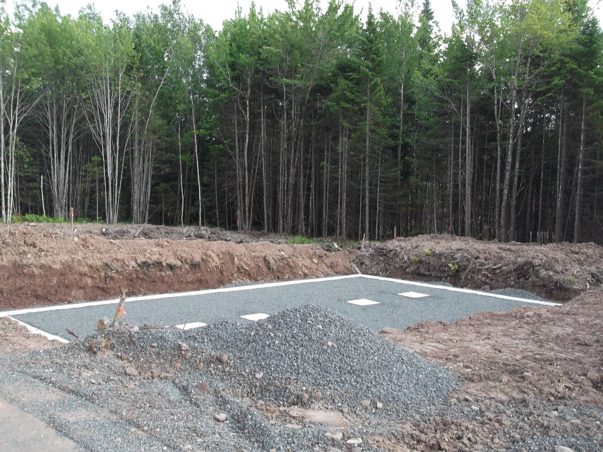 A gravel road in the middle of a forest