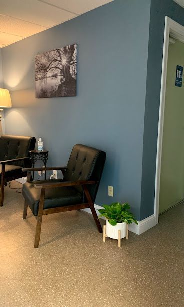 A waiting room with two chairs and a potted plant.