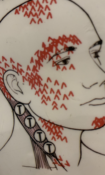 A close up of a drawing of a woman 's face and neck