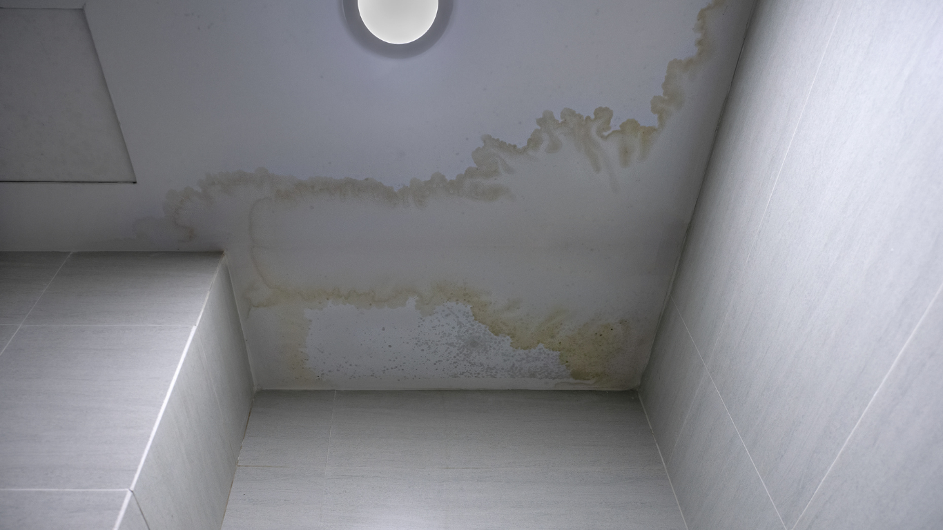 A bathroom with a ceiling that has stains on it.