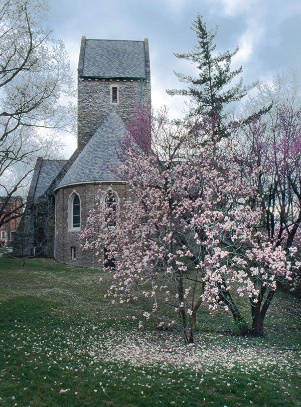 kumler chapel with magnolia in bloom