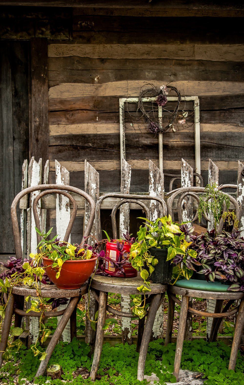 Chairs and potted vines