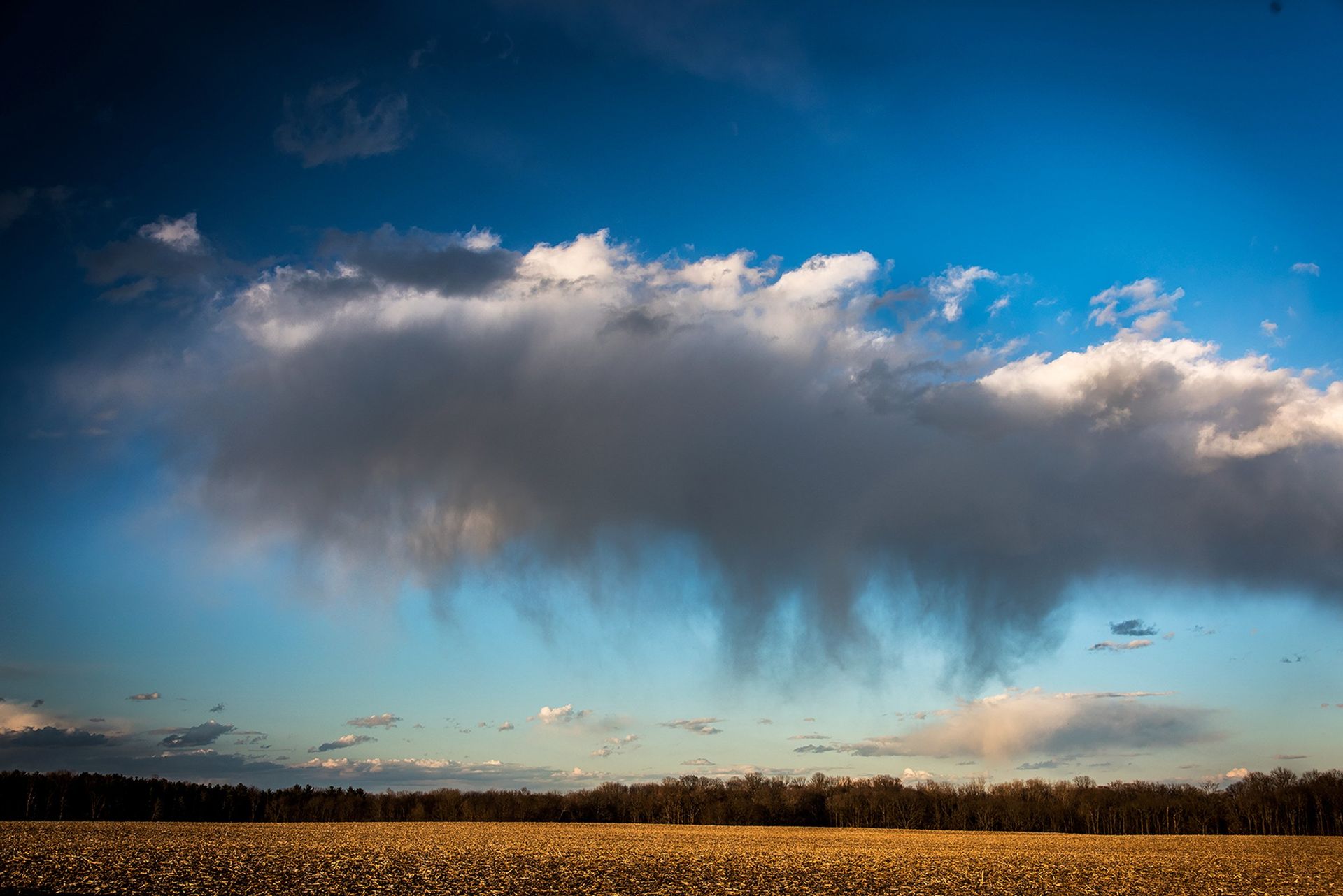 cloud reaching field