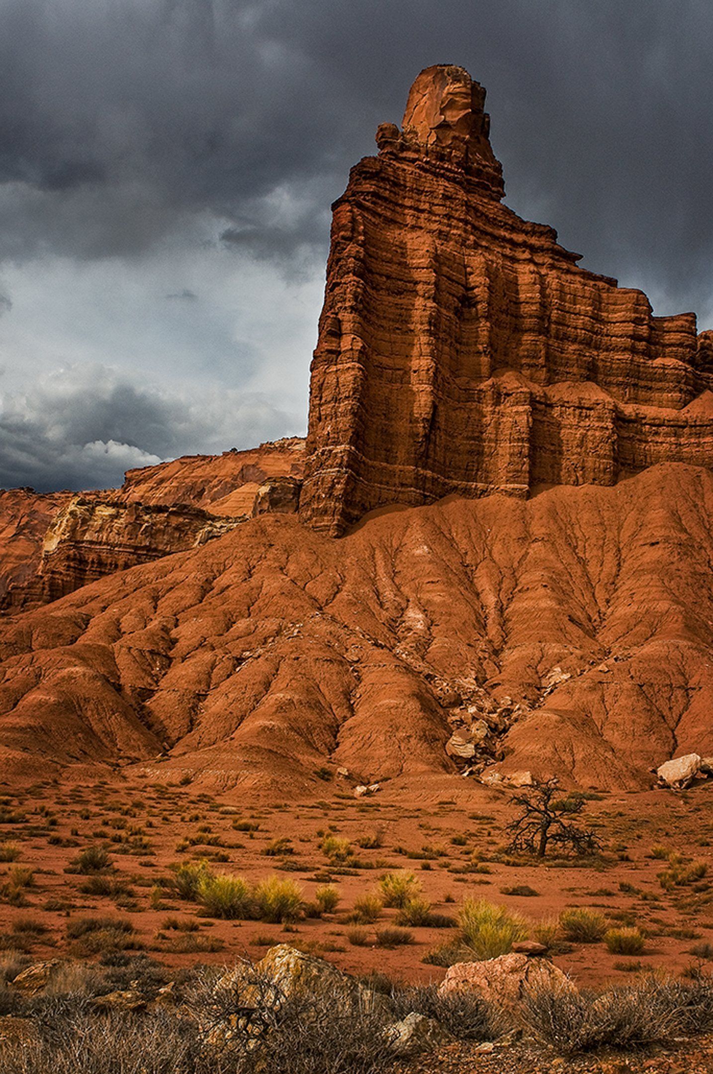 Butte Spire with Tree Capitol Reef UT
