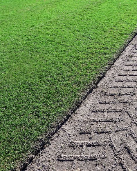 Green grass beside a diagonal gravel path with curved tire tracks