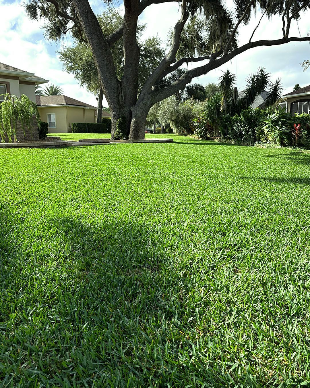 Person laying sod beside a gravel path in a green lawn